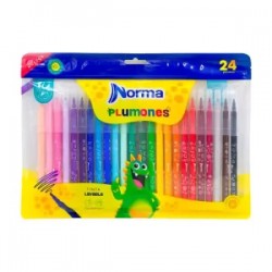 Plumones Norma c/24
